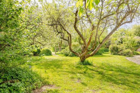 Property Image 44