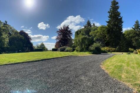 Sweeping Driveway