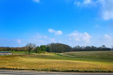 Surrounded by green open space