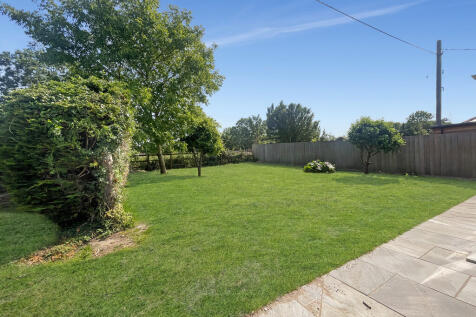 Garden (4)