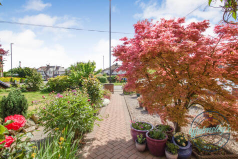 Front pathway