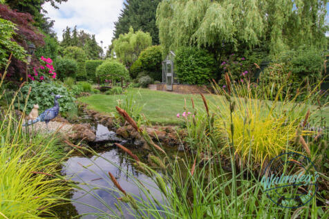 Pond and stream