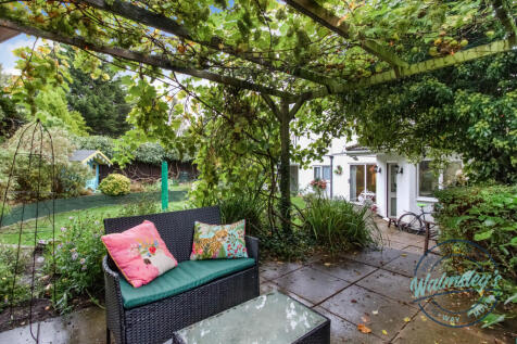 Sitting area & grape vine