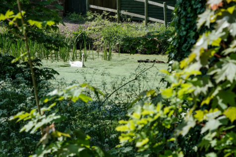 Property Image 35