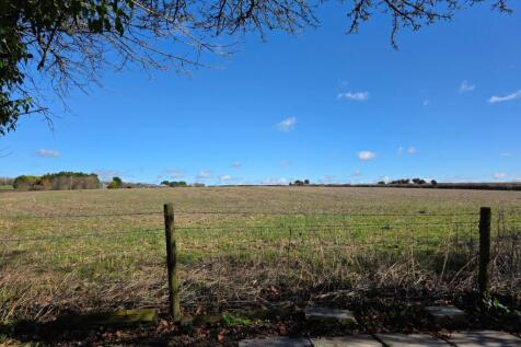 View from rear garden