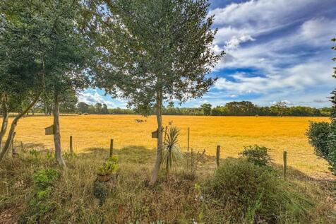 Property Image 17