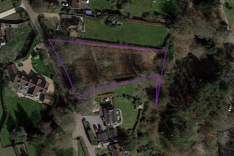 Google View