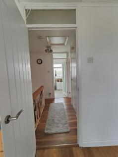 IMG20250426140344.jpg