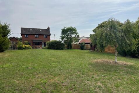 garden 2.jpg