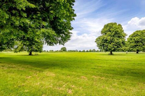 The Downs