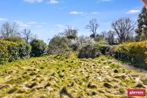 BACK GARDEN