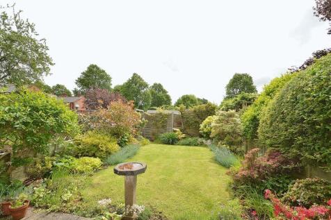 BACK GARDEN