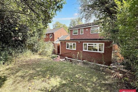BACK GARDEN