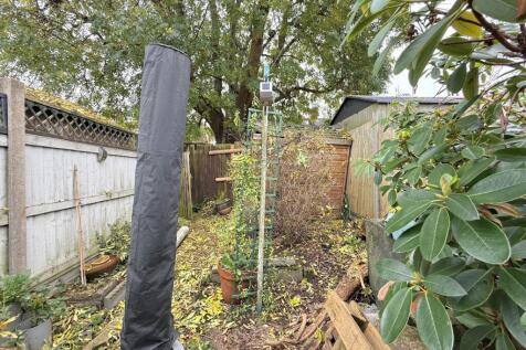 Garden Continued