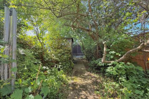 Garden Continued