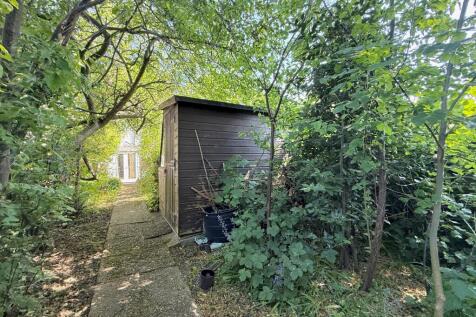 Garden Continued