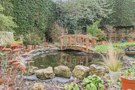 Pond