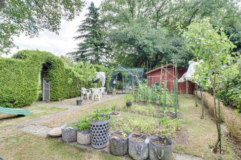 Vegetable Garden