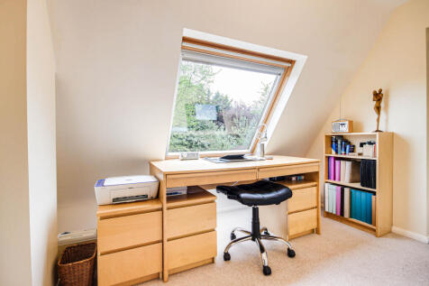 Study area