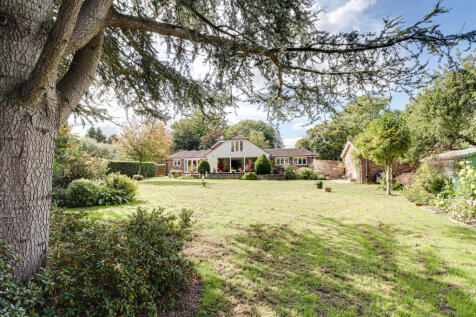 Rear view of house