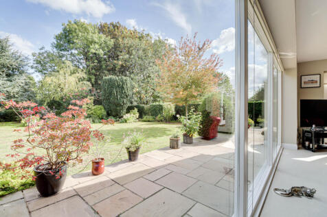 View from Living Room