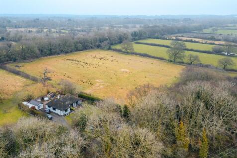 Hadland-6.jpg