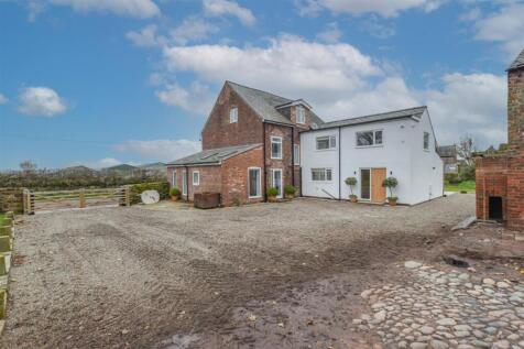 DSC_3128-28 copy.jpg