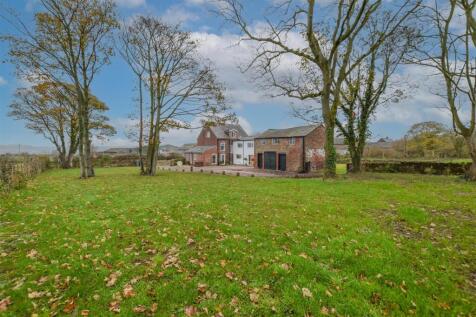 DSC_3132-29 copy.jpg