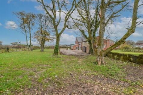 DSC_3134-30 copy.jpg