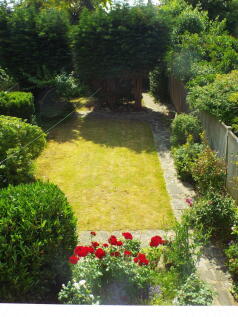Garden (6)