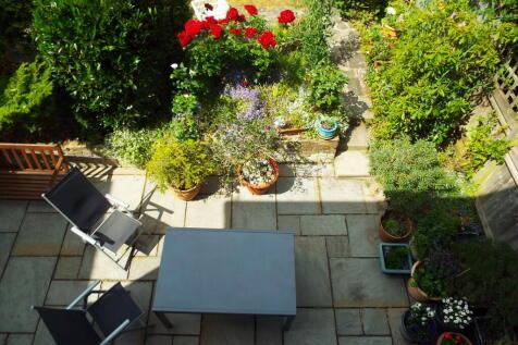 Garden (9)