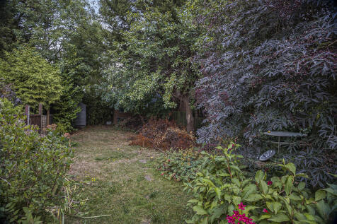 Garden (4)