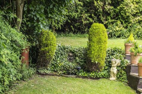 Garden (6)