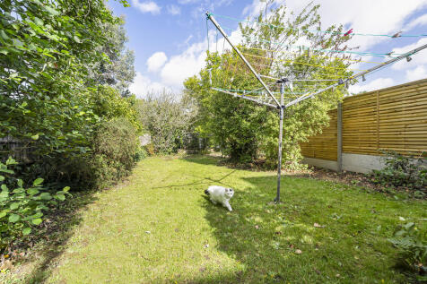 Garden (4)