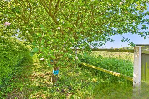 Property Image 39