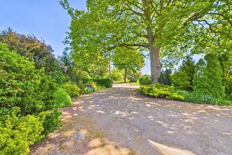 Property Image 45