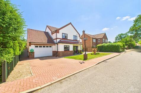 Property Image 44