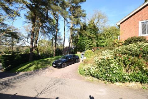 driveway and front garden