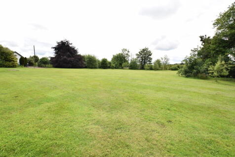 garden and paddock