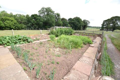 vegetable garden