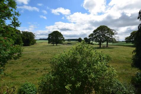 view from the balcony