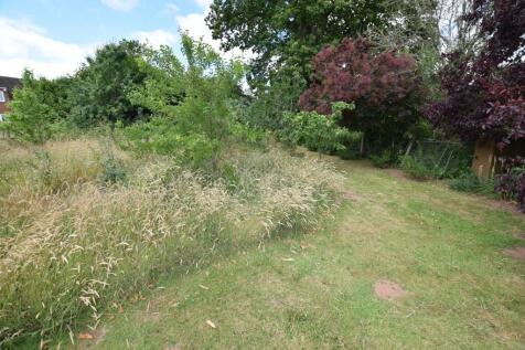 wildlife and orchard