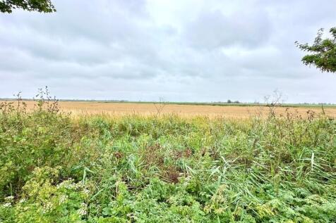 Countryside Views