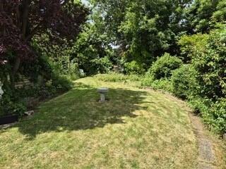 BACK GARDEN