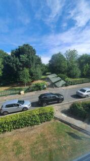 VIEW OF PARK
