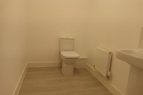 20241028_112545.jpg