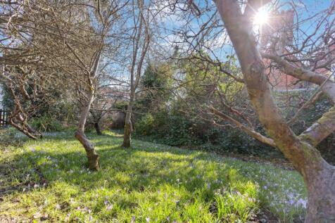 Garden (4)