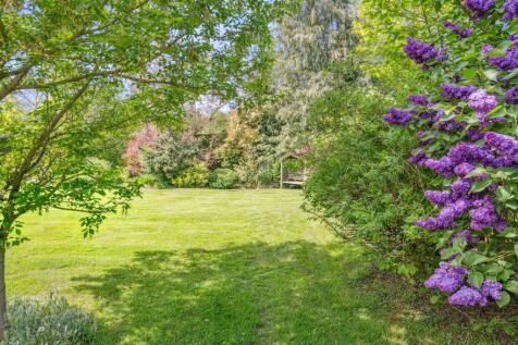 Garden (5)