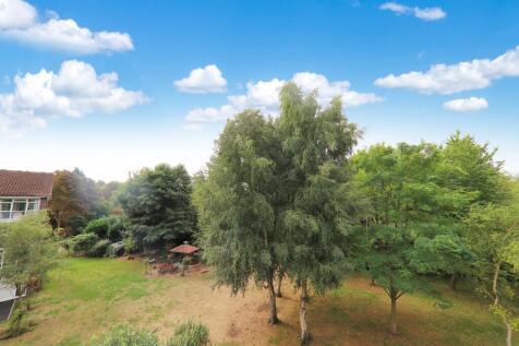 View Goral Mead