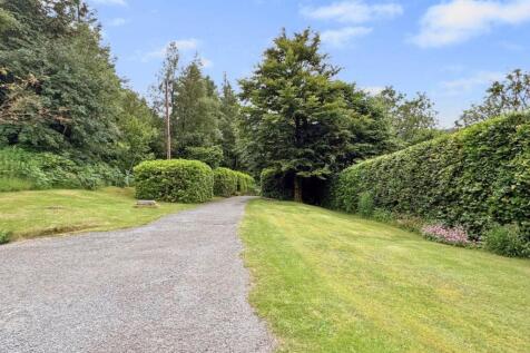 Property Image 45